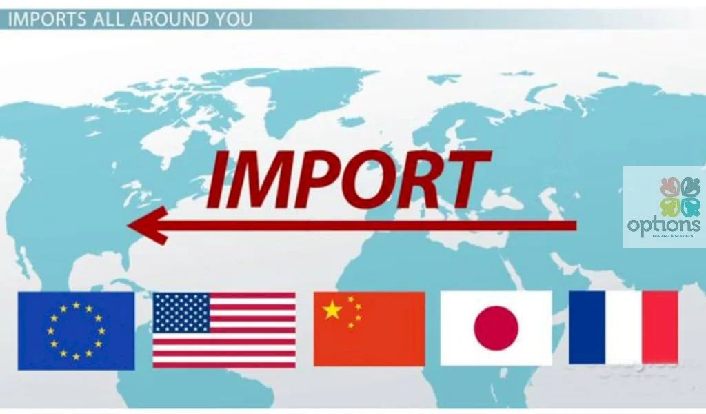 Thủ tục hải quan hàng nhập khẩu khẩu tại Thủ Dầu Một 1