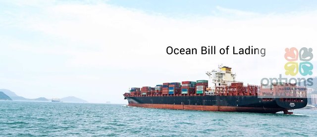 Vận đơn và chứng năng của vận đơn 1
