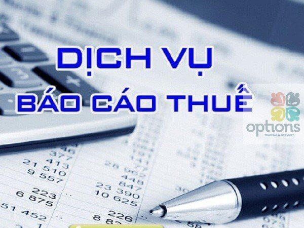 Dịch vụ báo cáo quyết toán thuế 7