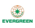 Evergreen