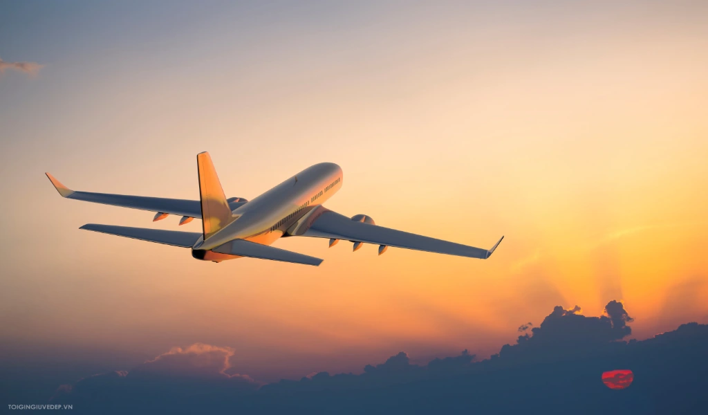 Dịch vụ ship hàng mẫu đi Indonesia 19 Dịch vụ xuất hàng mẫu đi Indonesia