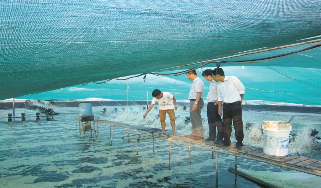 Thủy sản đông lạnh