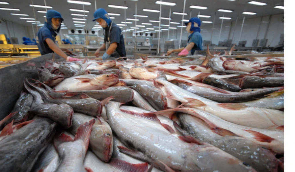 Quy trình xuất khẩu thủy sản